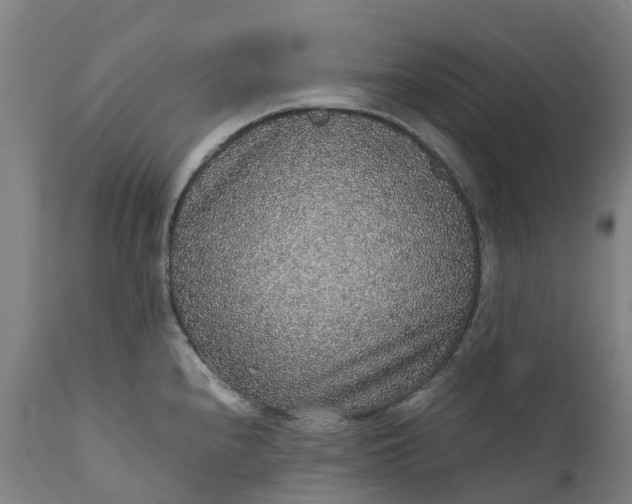 X0000111651240200907311309