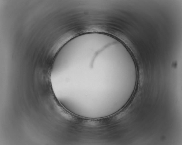 X0000111651241200907311309