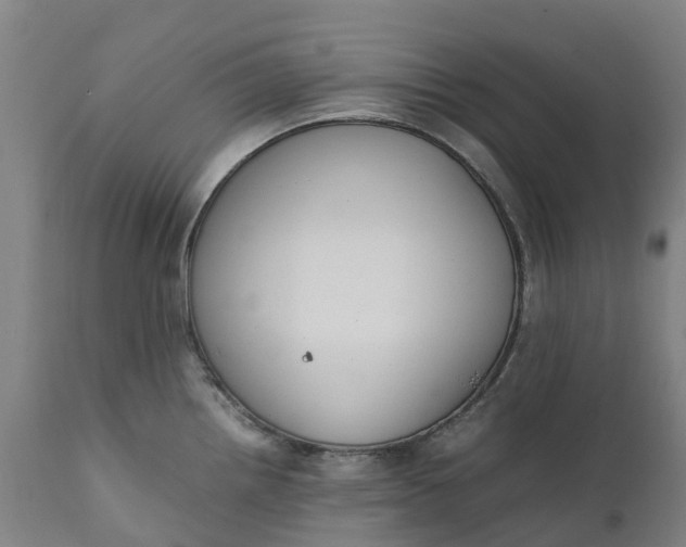 X0000111651242200907311309
