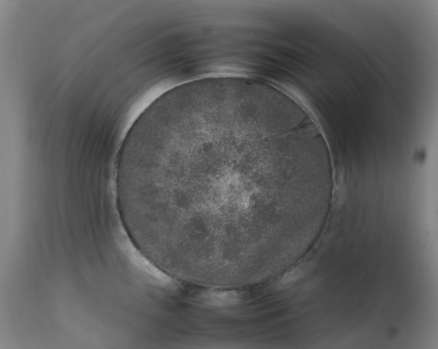 X0000111651243200907311309