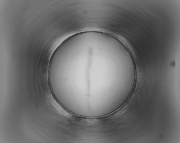 X0000111651244200907311309