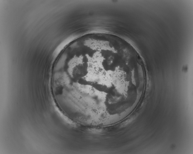 X0000111651245200907311309