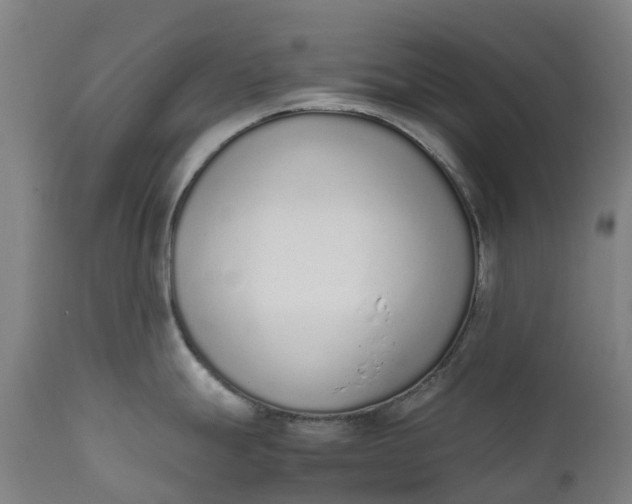 X0000111651247200907311309
