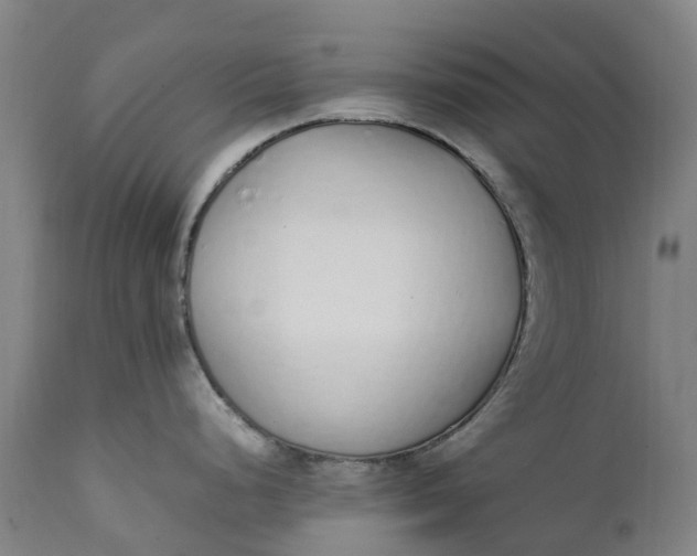 X0000111651248200907311309