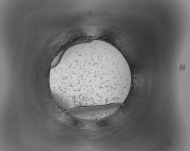 X0000111651249200907311308