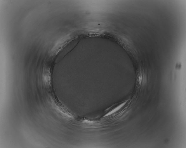 X0000111651252200907311308