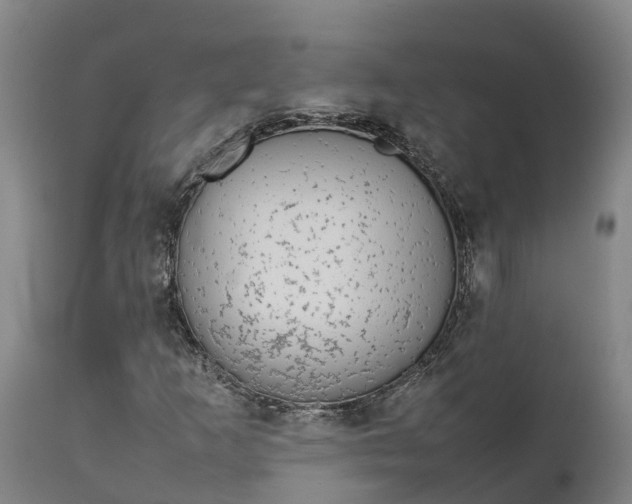 X0000111651253200907311308