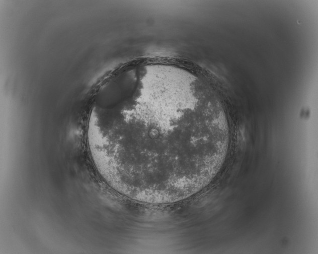 X0000111651254200907311308