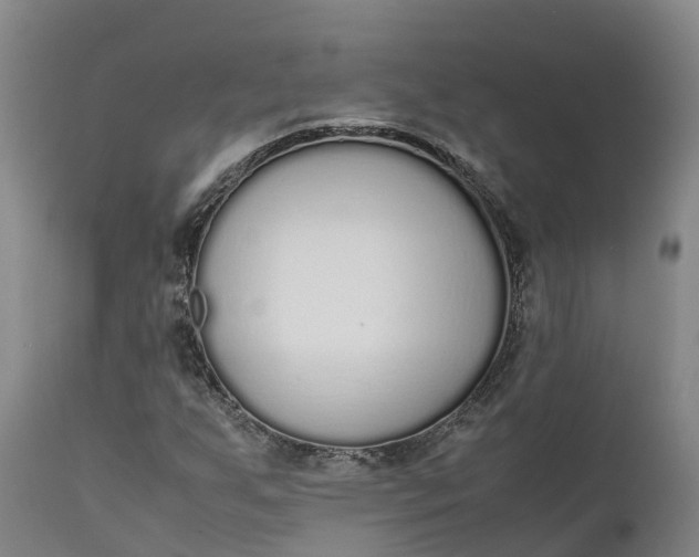 X0000111651255200907311308