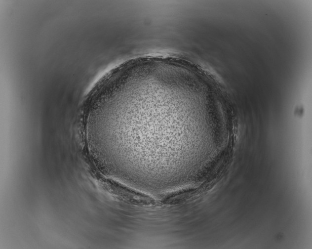 X0000111651256200907311308