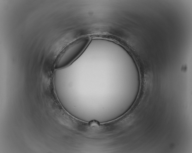 X0000111651257200907311308