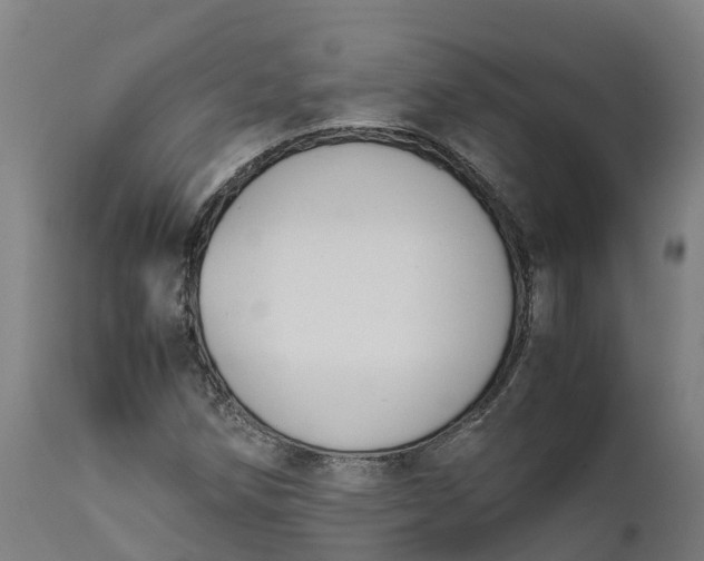 X0000111651258200907311308