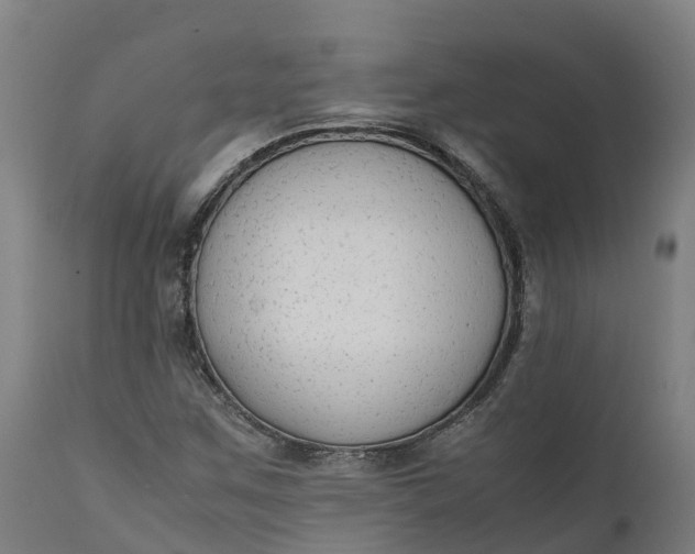 X0000111651259200907311308