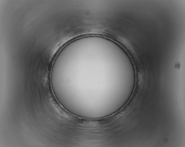 X0000111651260200907311308