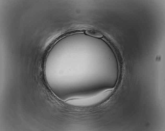 X0000111651261200907311308