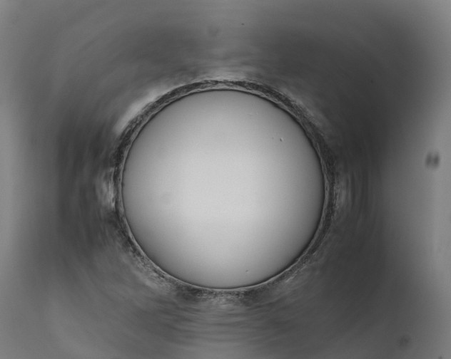 X0000111651262200907311308