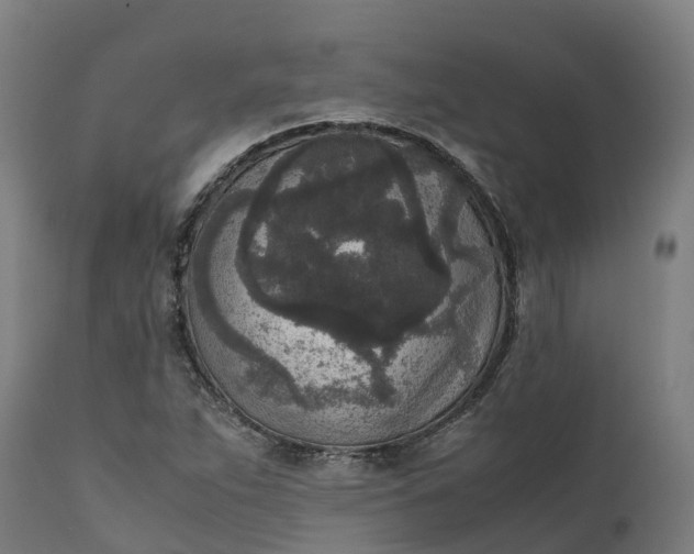 X0000111651263200907311308
