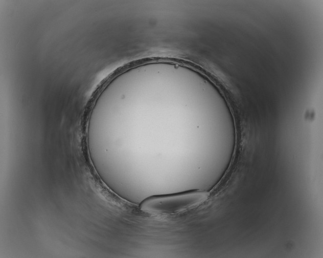 X0000111651264200907311308