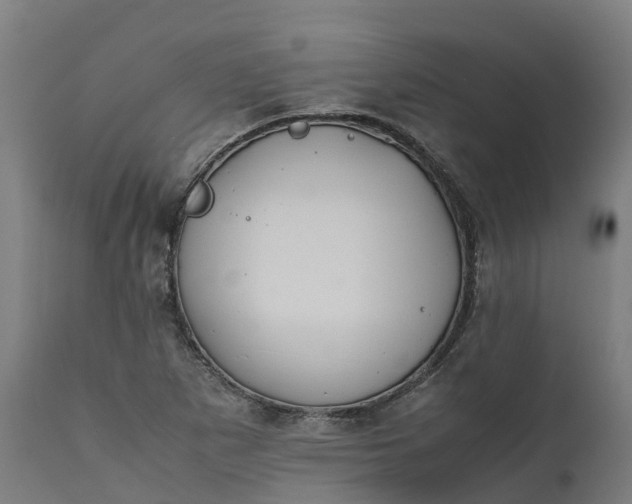X0000111651265200907311308