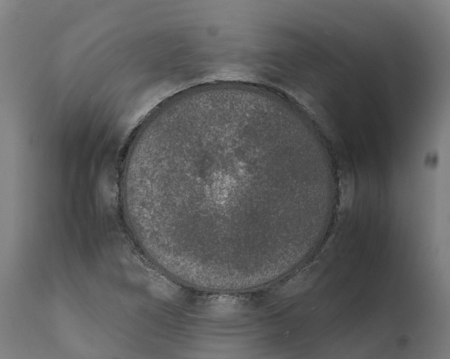 X0000111651266200907311308