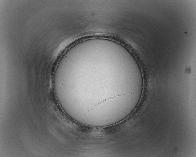 X0000111651267200907311308