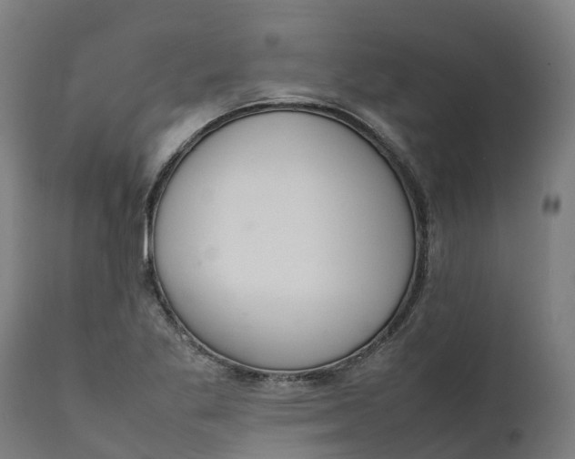 X0000111651269200907311308