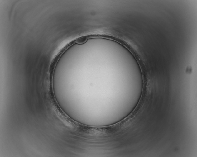 X0000111651270200907311308