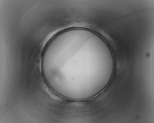 X0000111651272200907311308