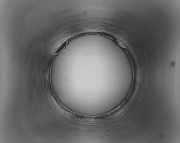 X0000111651273200907311308