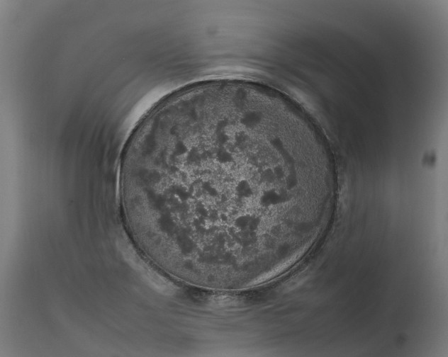 X0000111651275200907311308