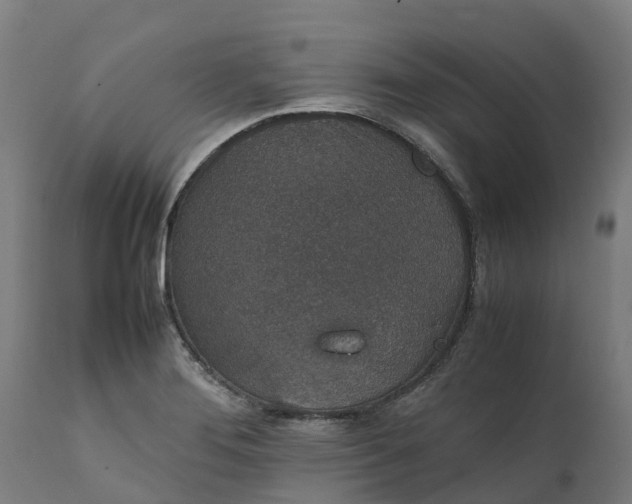 X0000111651276200907311308