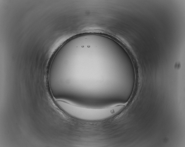 X0000111651277200907311308