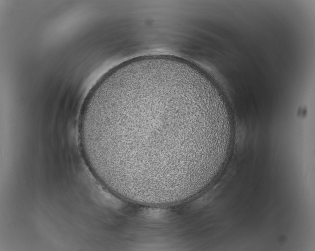 X0000111651278200907311308