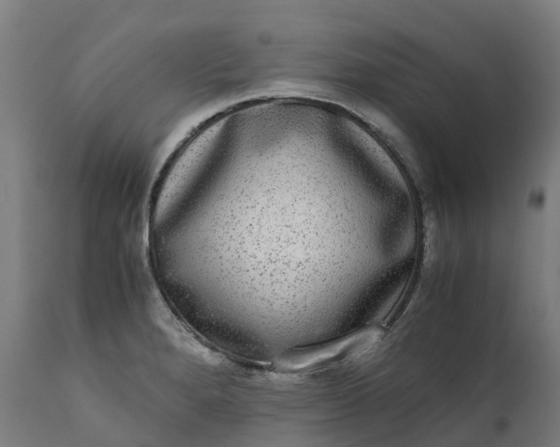 X0000111651280200907311308