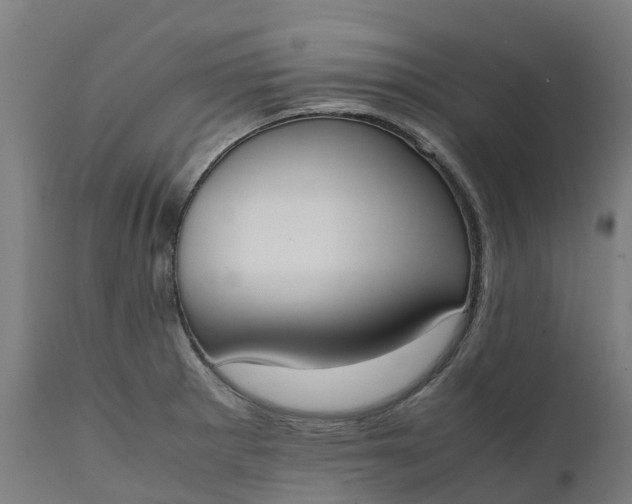 X0000111651281200907311308