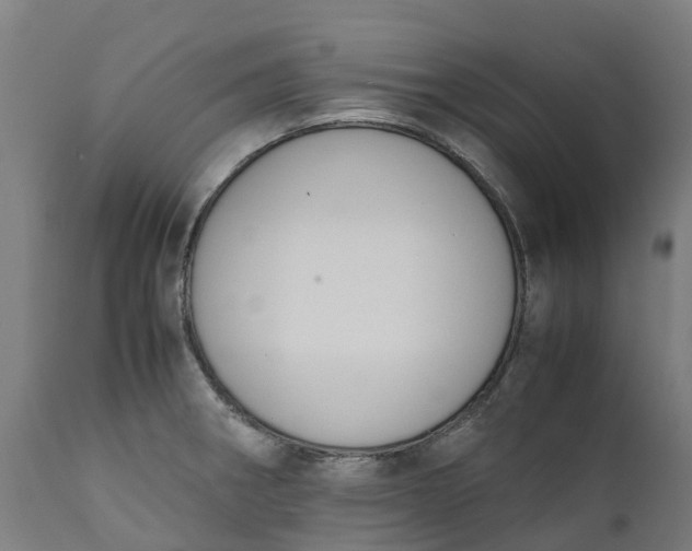 X0000111651282200907311308