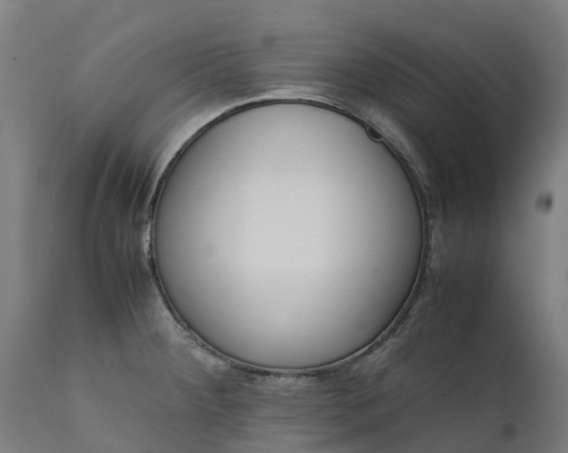 X0000111651284200907311308