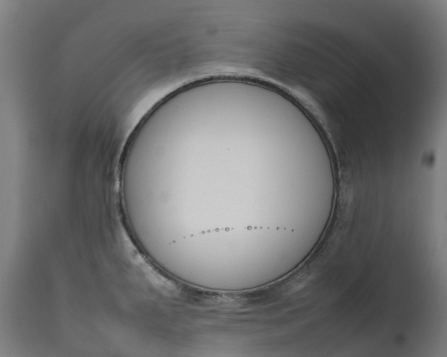 X0000111651287200907311308