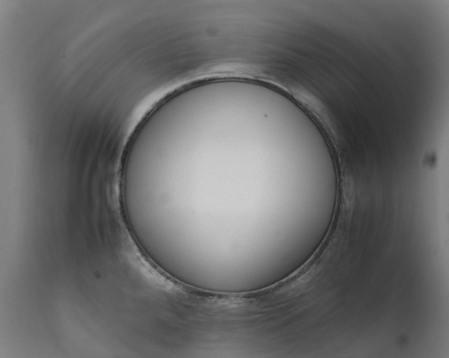 X0000111651288200907311308
