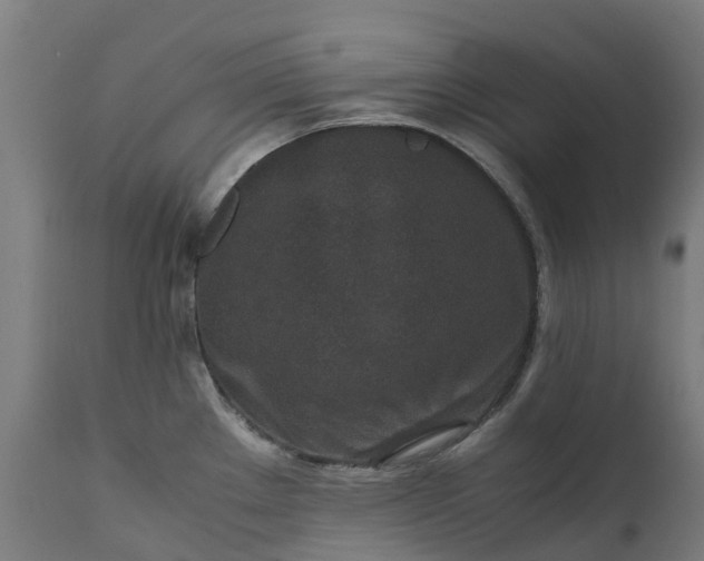 X0000111651289200907311308