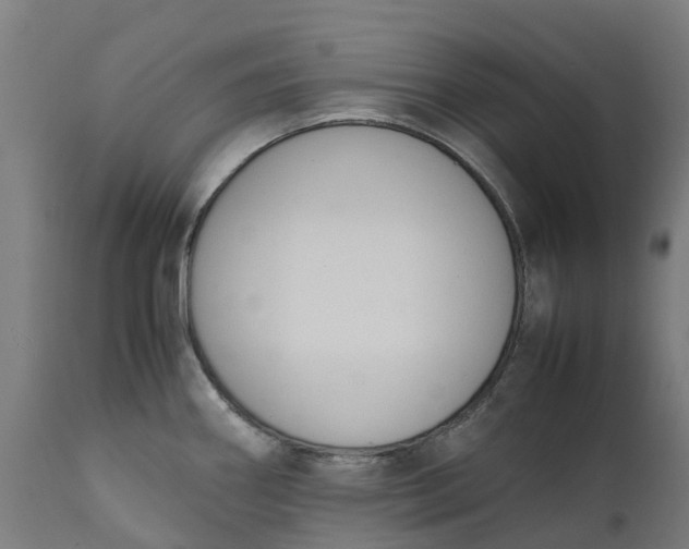 X0000111651290200907311308