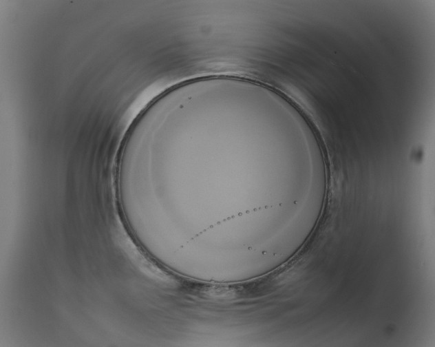 X0000111651291200907311308