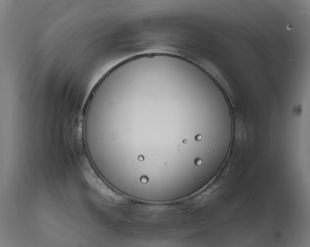 X0000111651292200907311308