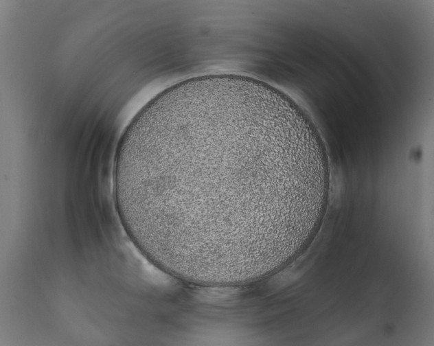 X0000111651294200907311308