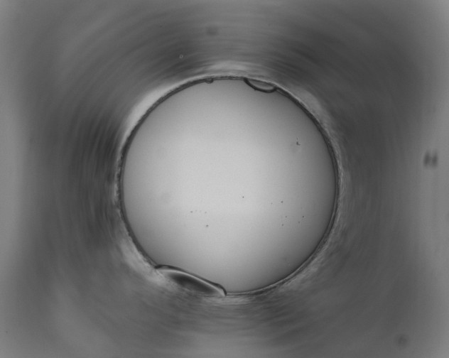X0000111651296200907311308