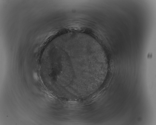 X0000111651297200907311307
