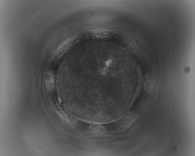 X0000111651298200907311307