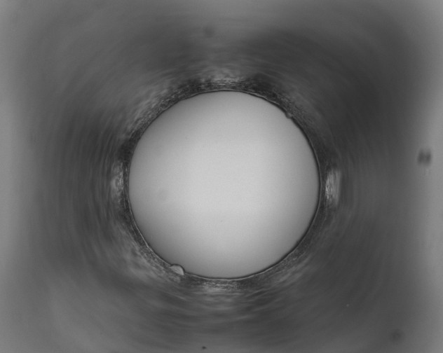 X0000111651299200907311307