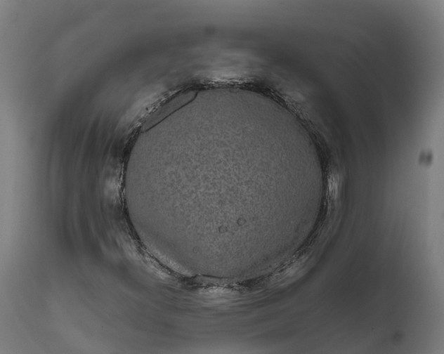X0000111651300200907311307
