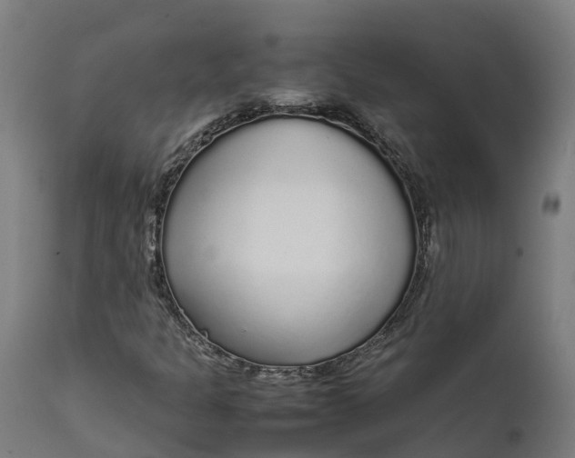 X0000111651301200907311307